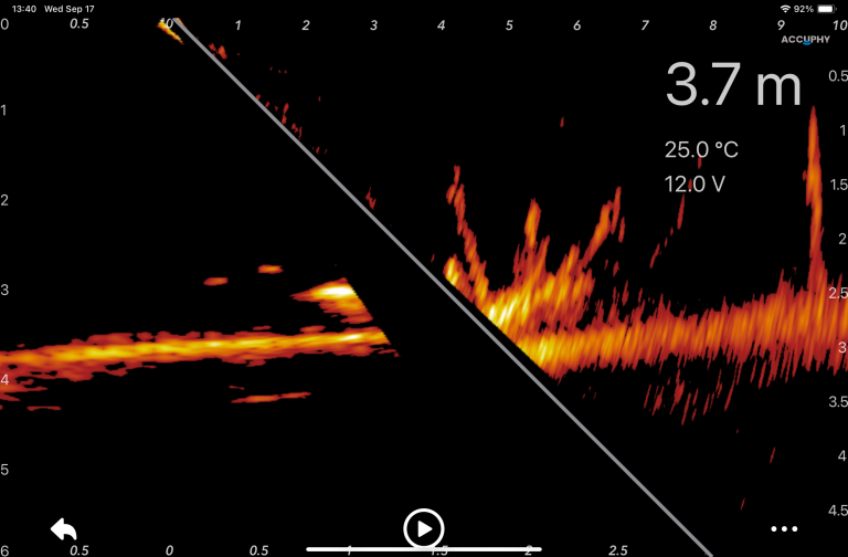 PingLive Mini 组合视图