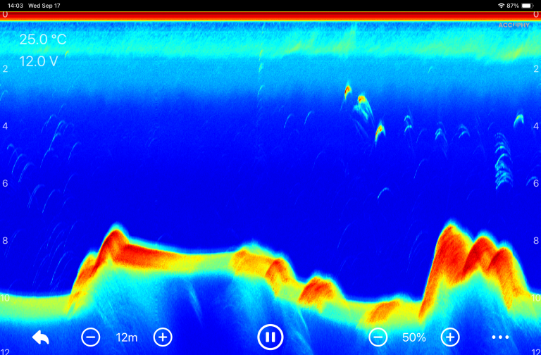 PingLive Mini 传统声呐视图